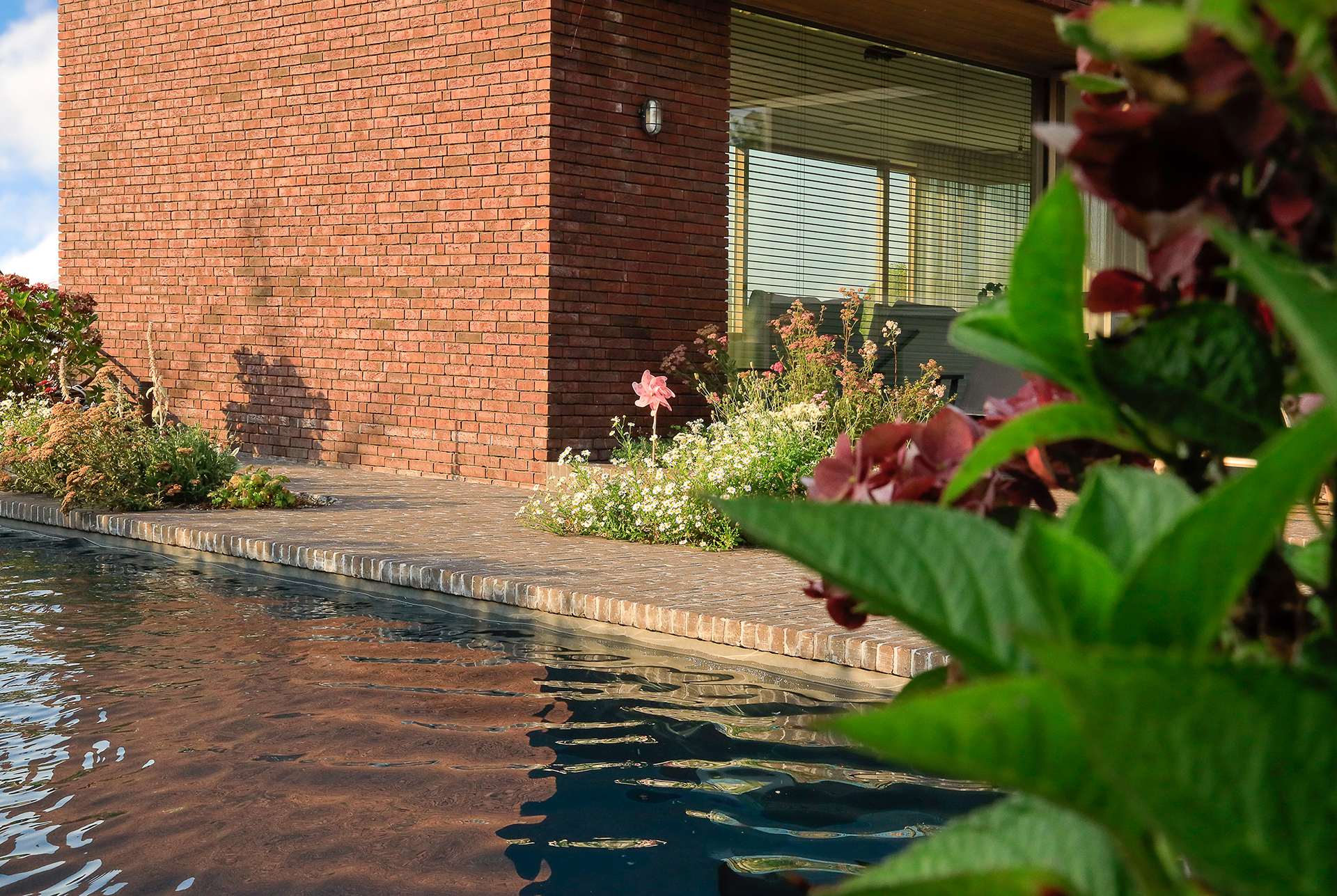 DM Tuinonderneming Ameloot